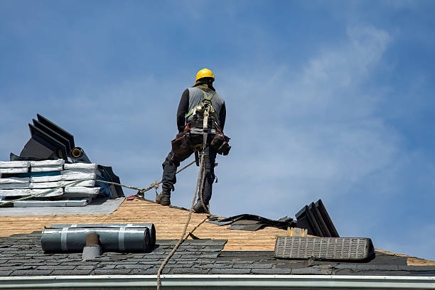 Professional Roof Replacement technician working in Stanaford, WV